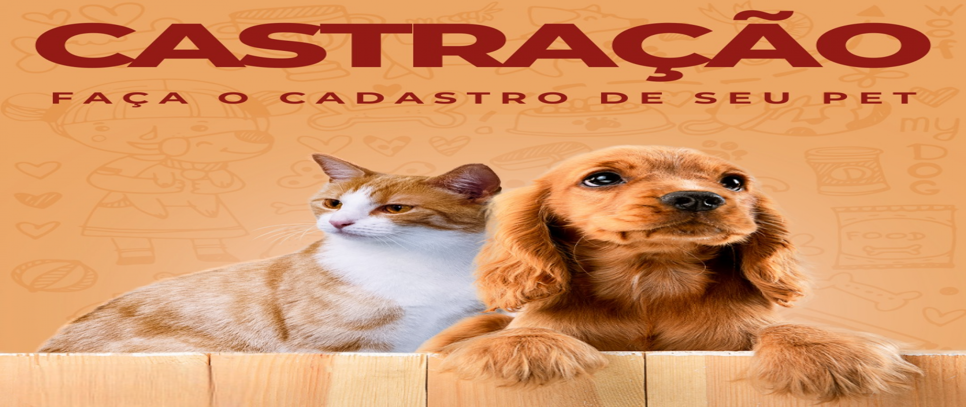 Capa da notícia